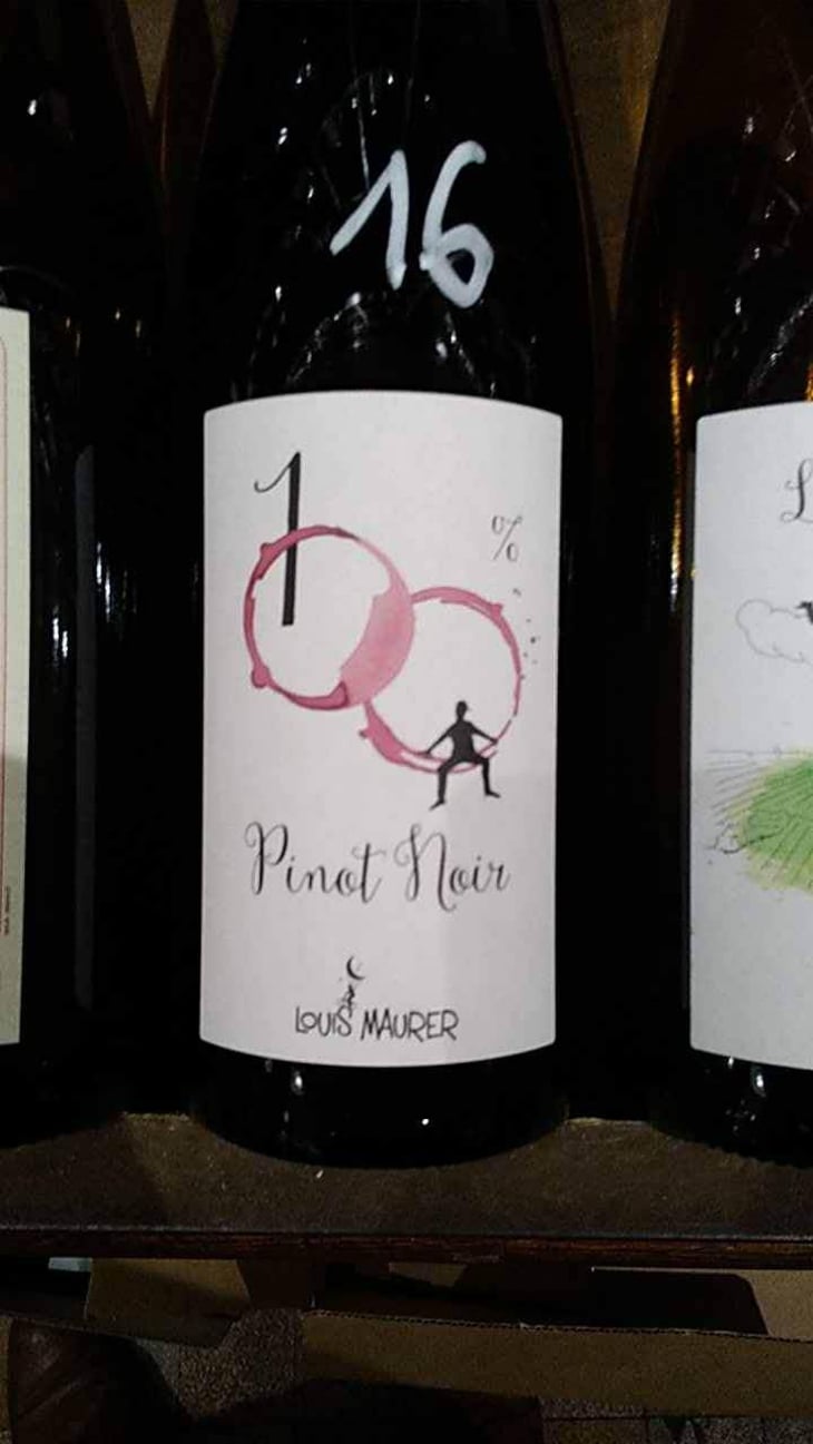 100% Pinot Noir - Louis Maurer - Louis Maurer 