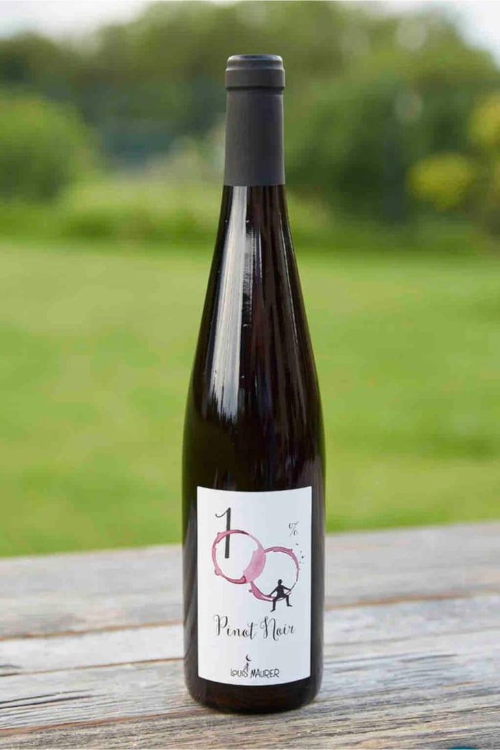 100% Pinot Noir - Louis Maurer - Louis Maurer 