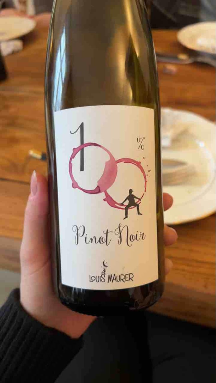 100% Pinot Noir - Louis Maurer - Louis Maurer 