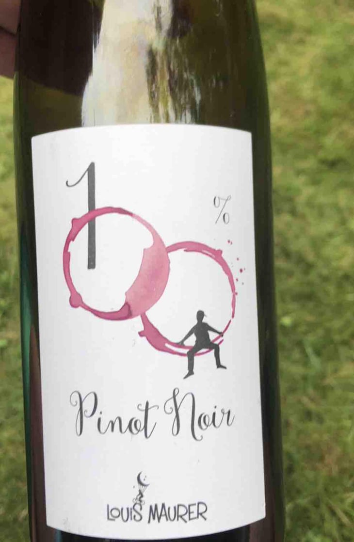 100% Pinot Noir - Louis Maurer - Louis Maurer 