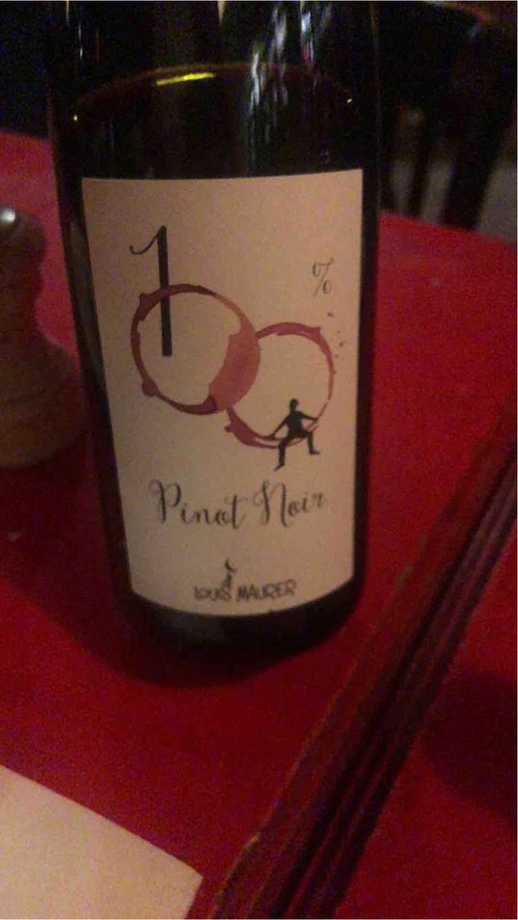 100% Pinot Noir - Louis Maurer - Louis Maurer 