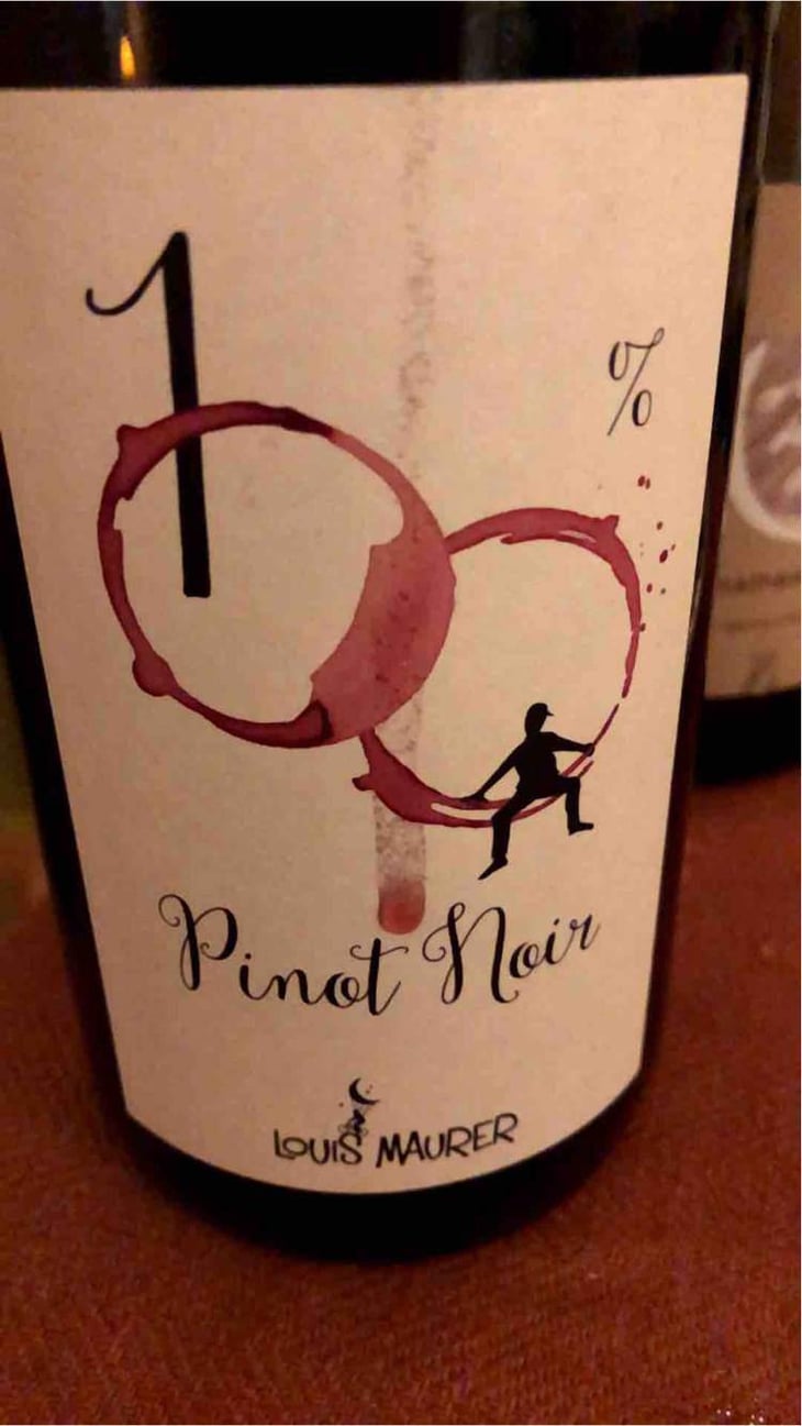100% Pinot Noir - Louis Maurer - Louis Maurer 
