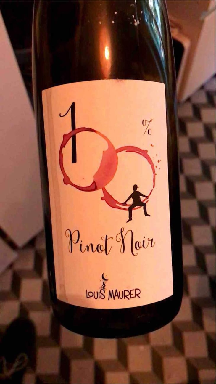 100% Pinot Noir - Louis Maurer - Louis Maurer 