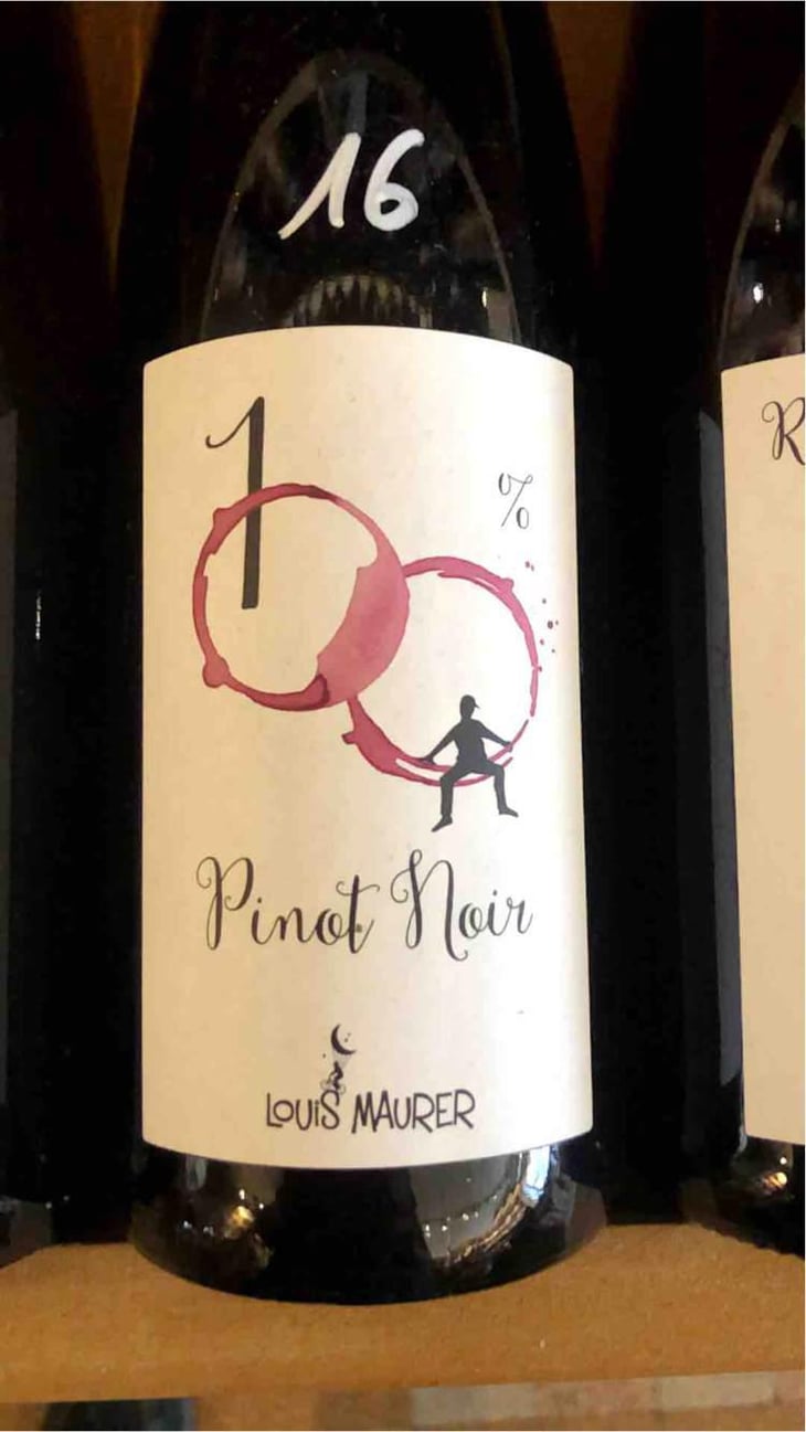 100% Pinot Noir - Louis Maurer - Louis Maurer 