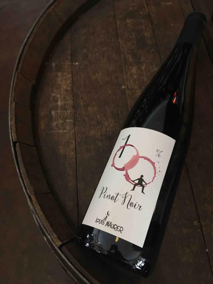 100% Pinot Noir - Louis Maurer - Louis Maurer 