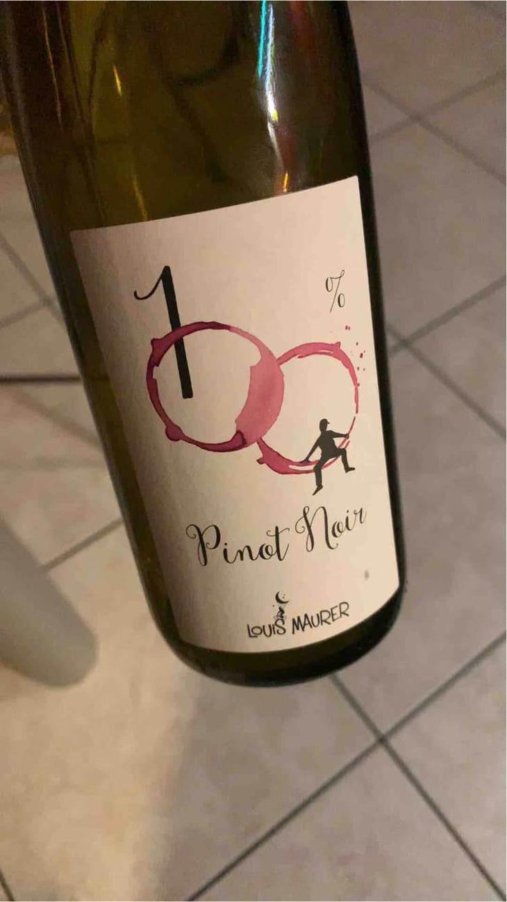 100% Pinot Noir - Louis Maurer - Louis Maurer 