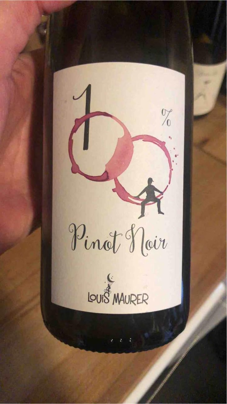 100% Pinot Noir - Louis Maurer - Louis Maurer 