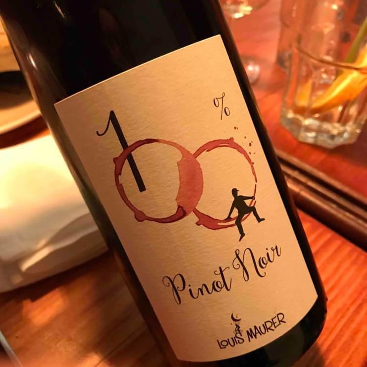 100% Pinot Noir - Louis Maurer - Louis Maurer 