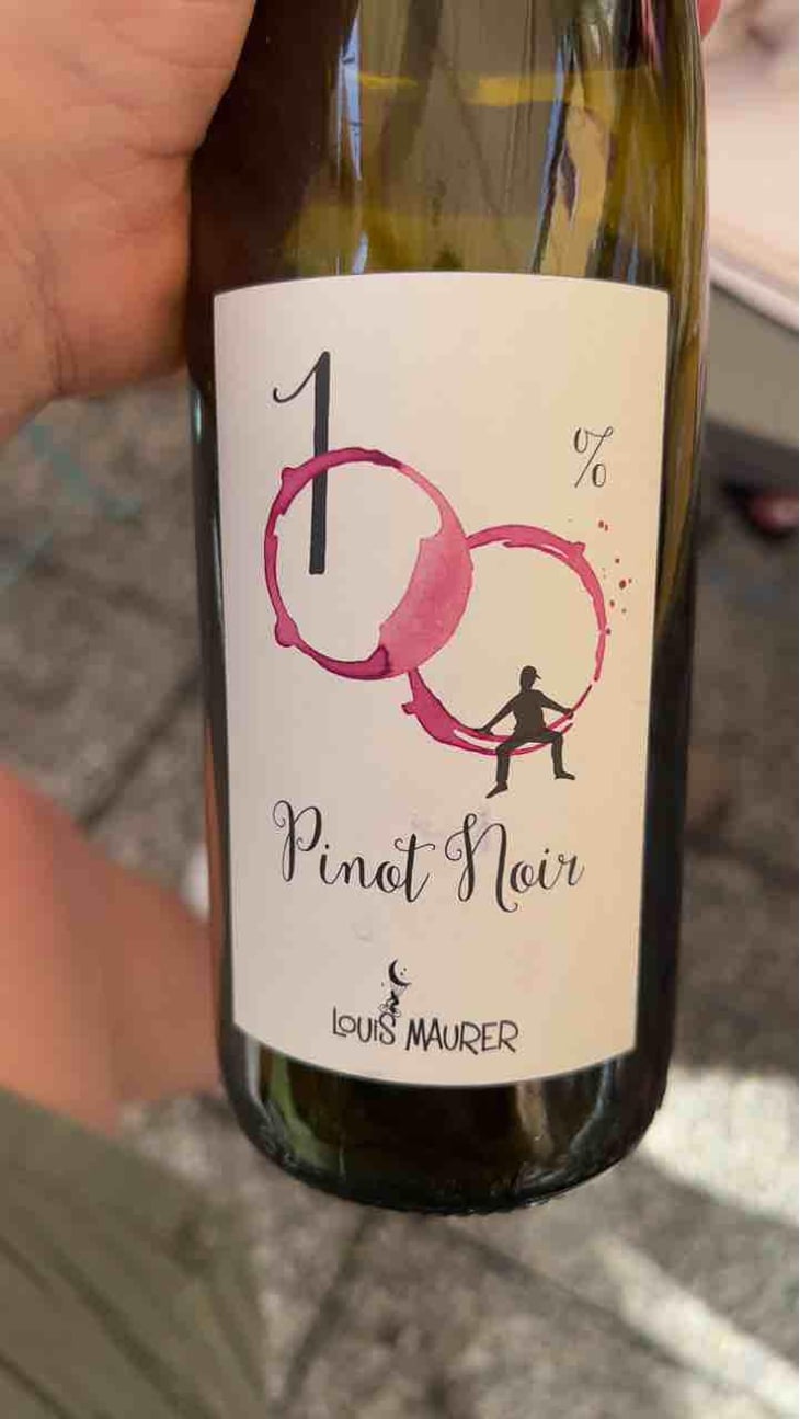 100% Pinot Noir - Louis Maurer - Louis Maurer 