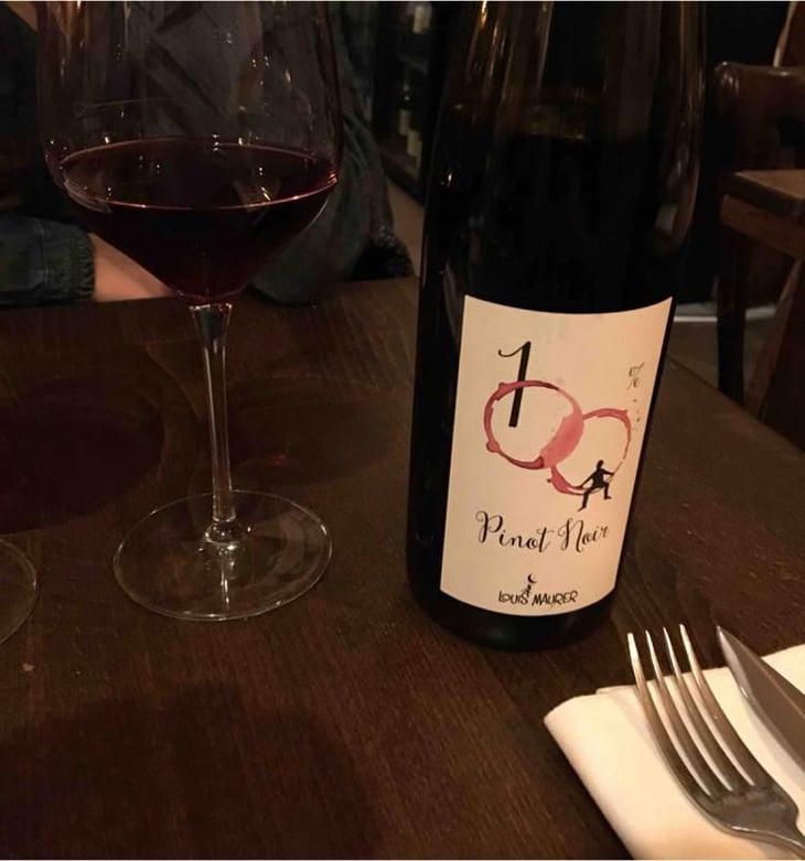 100% Pinot Noir - Louis Maurer - Louis Maurer 