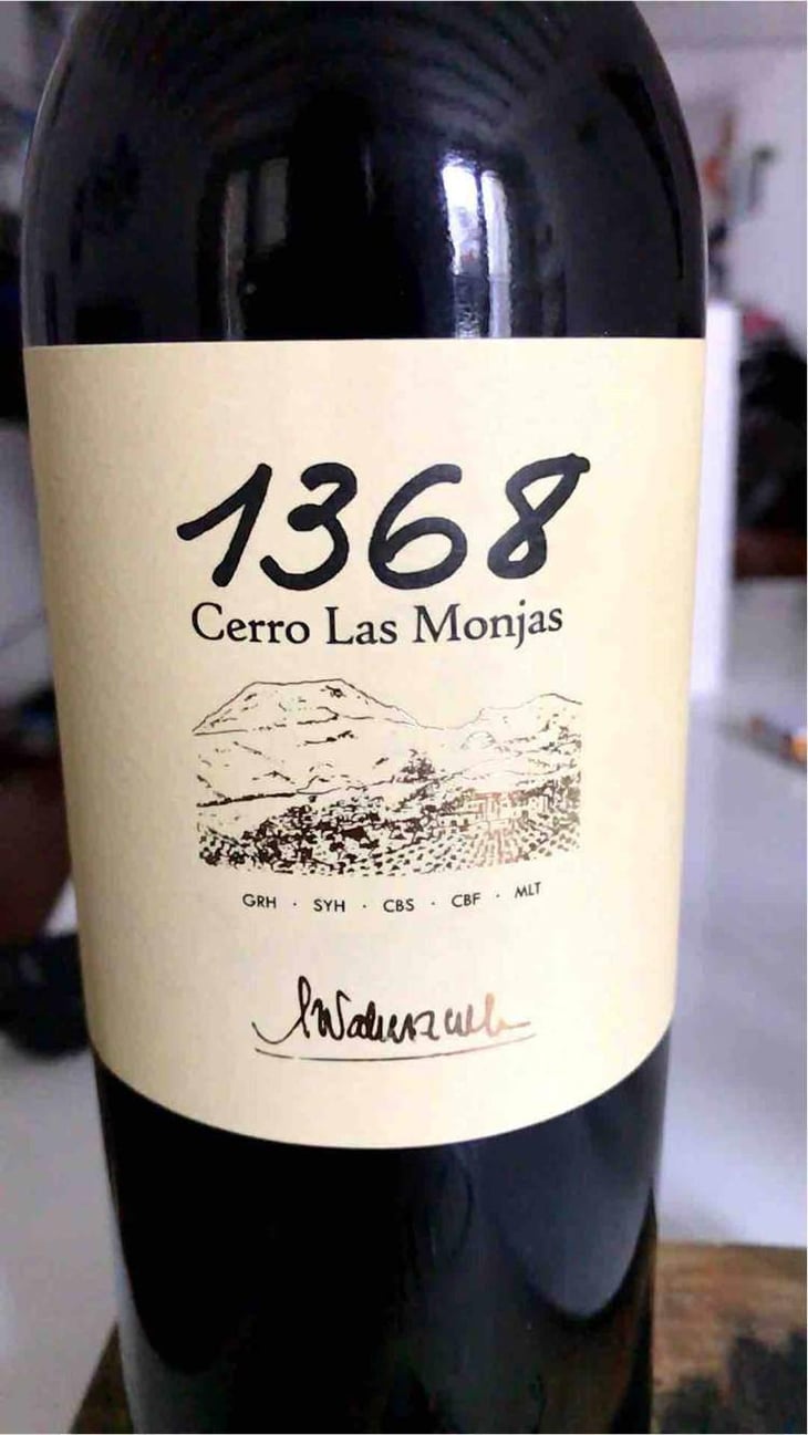 1368 Cerro Las Monjas - Barranco Oscuro - Manuel & Lorenzo Valenzuela 