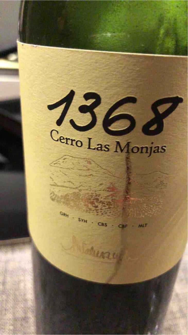 1368 Cerro Las Monjas - Barranco Oscuro - Manuel & Lorenzo Valenzuela 