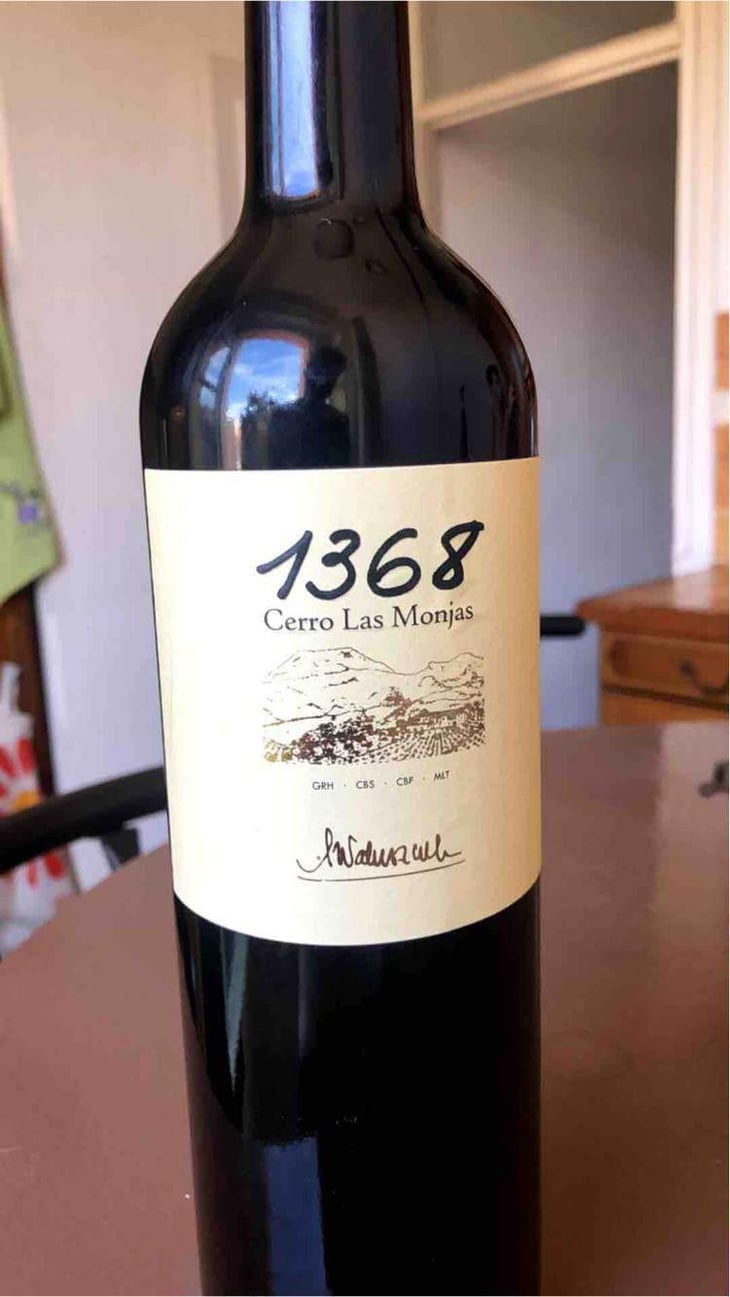 1368 Cerro Las Monjas - Barranco Oscuro - Manuel & Lorenzo Valenzuela 