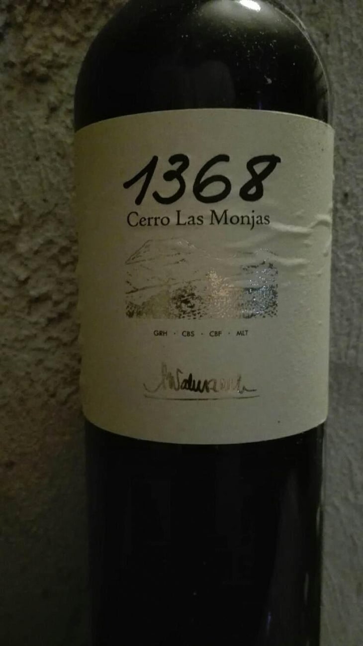 1368 Cerro Las Monjas - Barranco Oscuro - Manuel & Lorenzo Valenzuela 