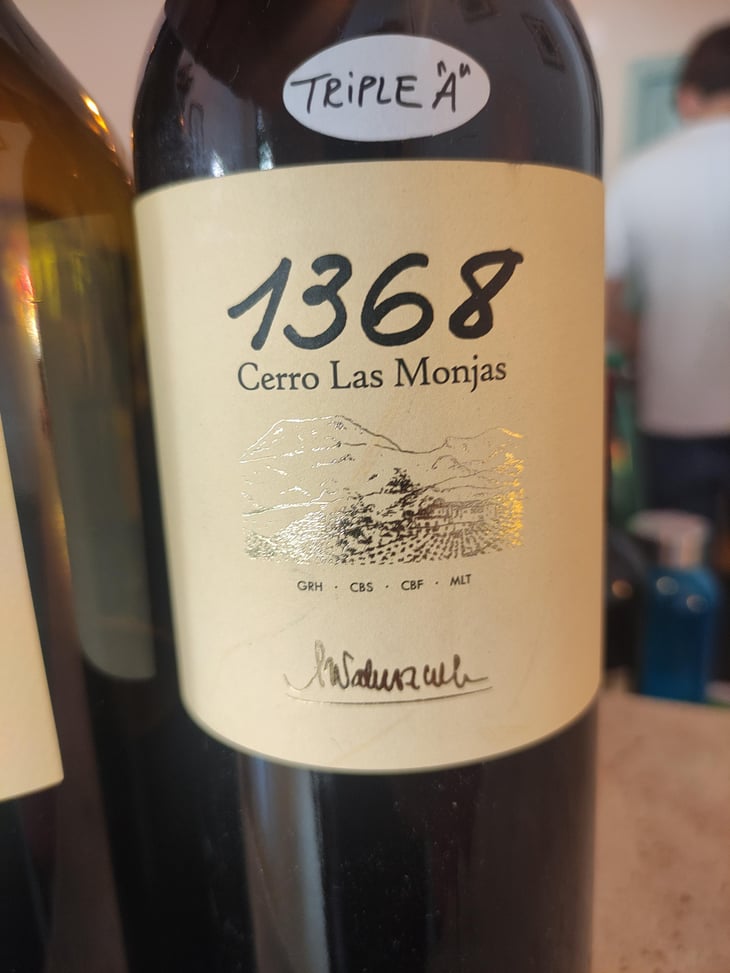 1368 Cerro Las Monjas - Barranco Oscuro - Manuel & Lorenzo Valenzuela 