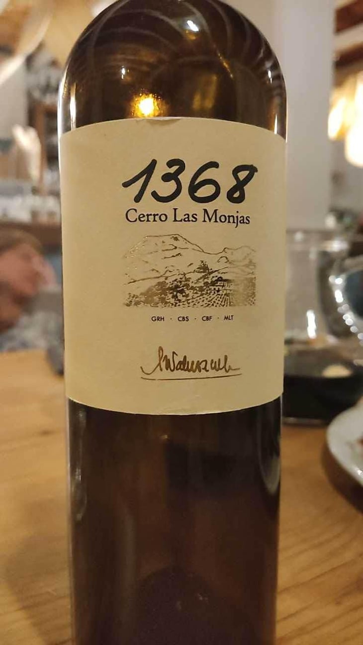 1368 Cerro Las Monjas - Barranco Oscuro - Manuel & Lorenzo Valenzuela 