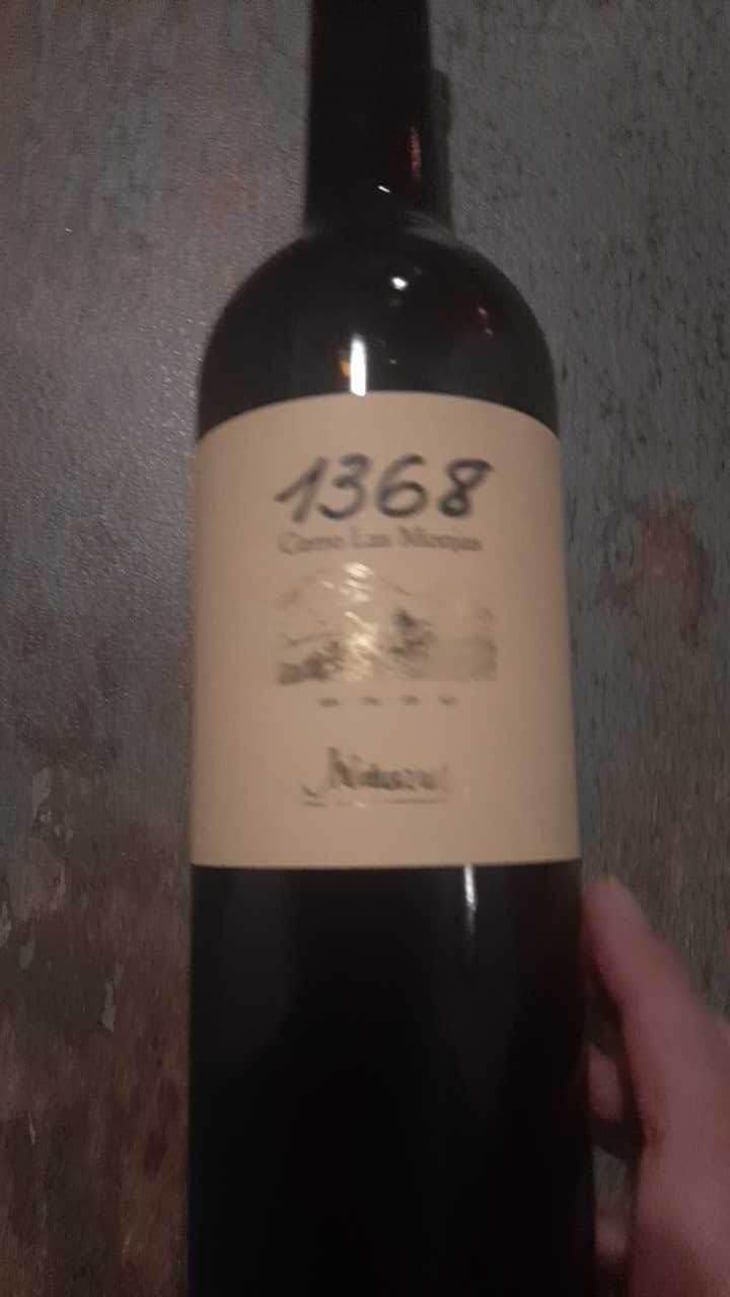 1368 Cerro Las Monjas - Barranco Oscuro - Manuel & Lorenzo Valenzuela 