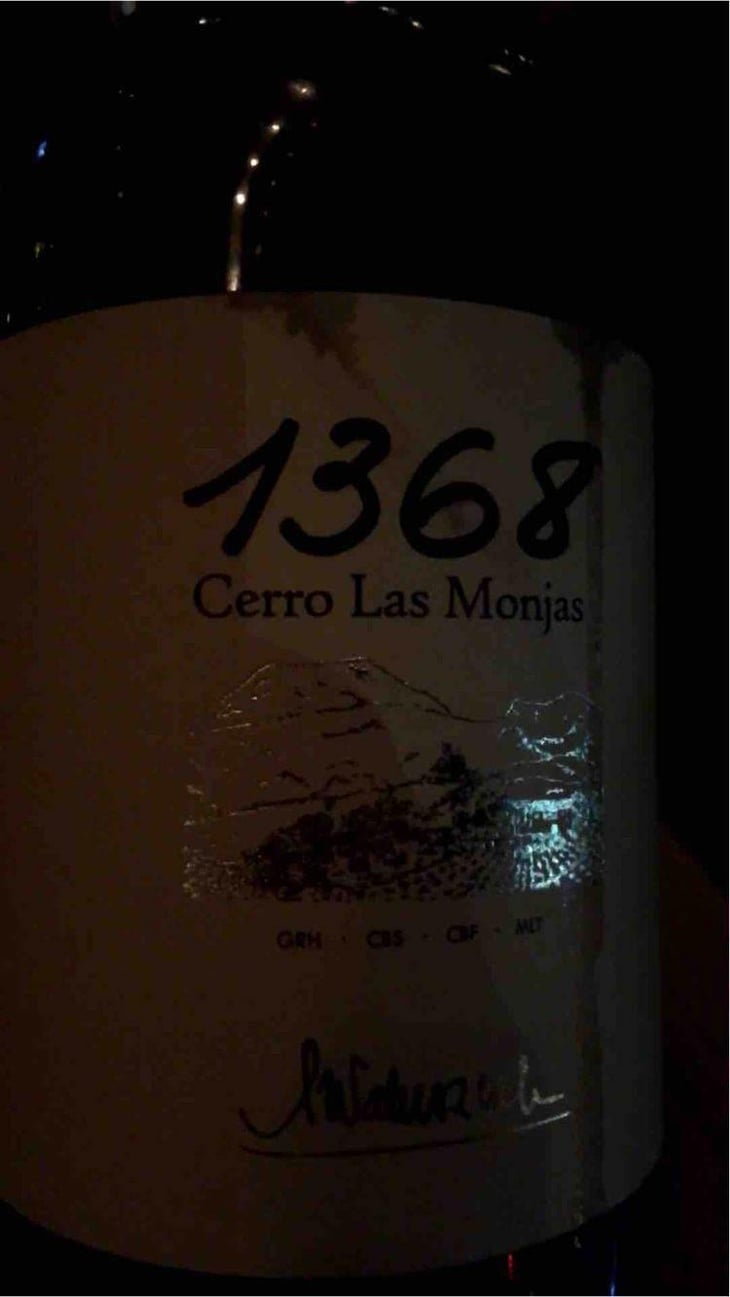 1368 Cerro Las Monjas - Barranco Oscuro - Manuel & Lorenzo Valenzuela 