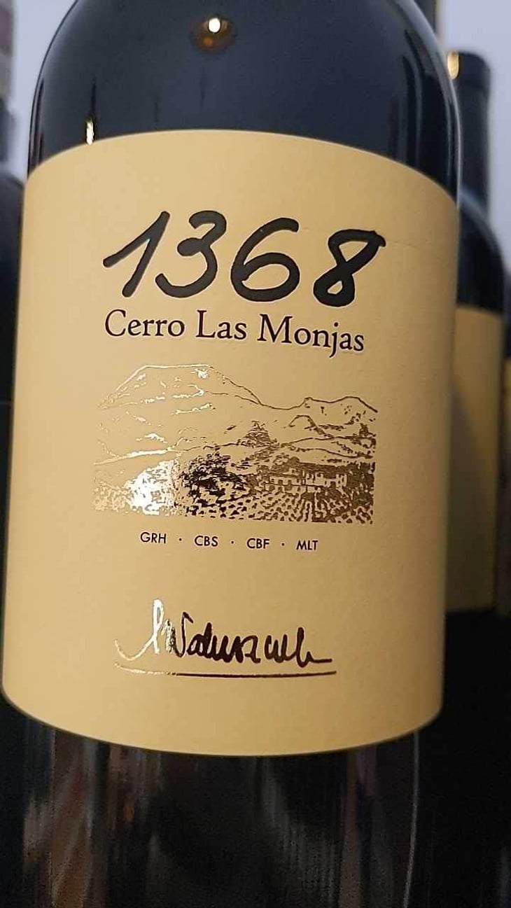 1368 Cerro Las Monjas - Barranco Oscuro - Manuel & Lorenzo Valenzuela 