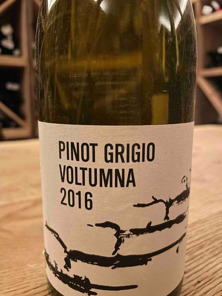 PINOT GRIGIO - Voltumna - Marzio Politi 