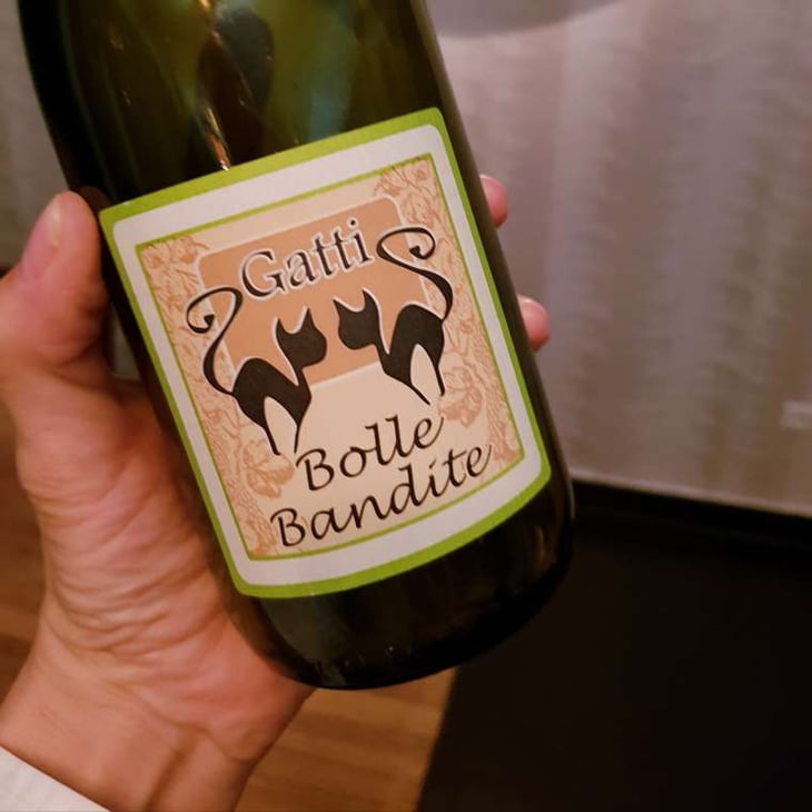 Bolle Bandite - Azienda Agricola Gatti - Carolina Gatti 