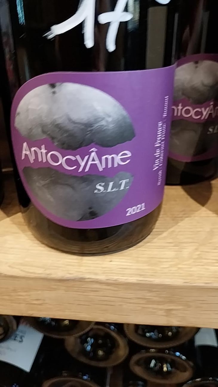 18h17 - AntocyÂme - Muriel Zoldan 