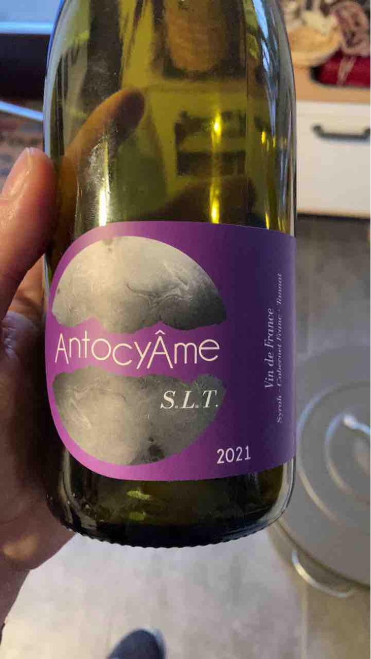 S.L.T - AntocyÂme - Muriel Zoldan 