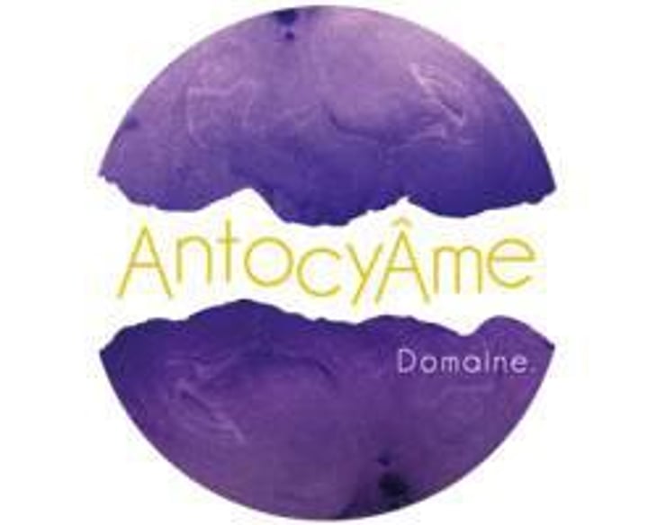 18h17 - AntocyÂme - Muriel Zoldan 