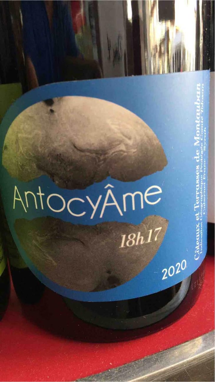 18h17 - AntocyÂme - Muriel Zoldan 