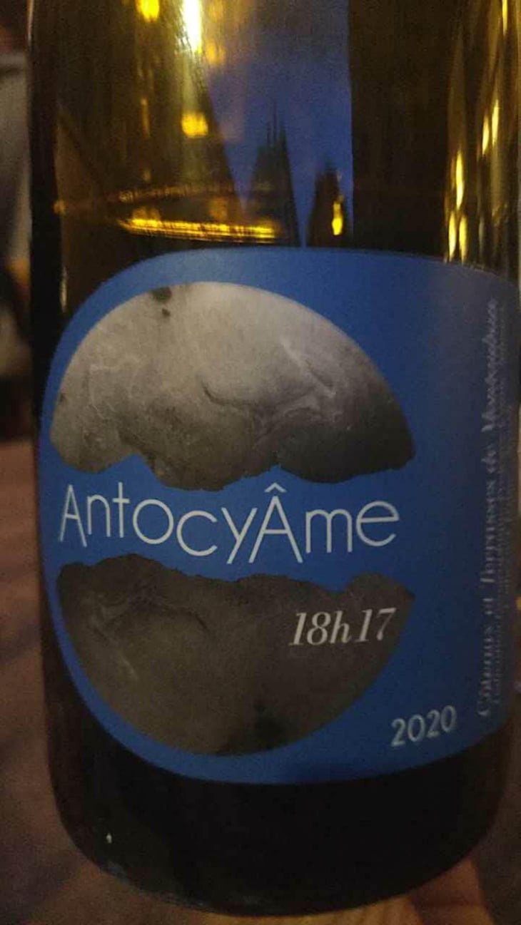 18h17 - AntocyÂme - Muriel Zoldan 