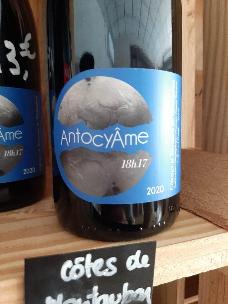 18h17 - AntocyÂme - Muriel Zoldan 
