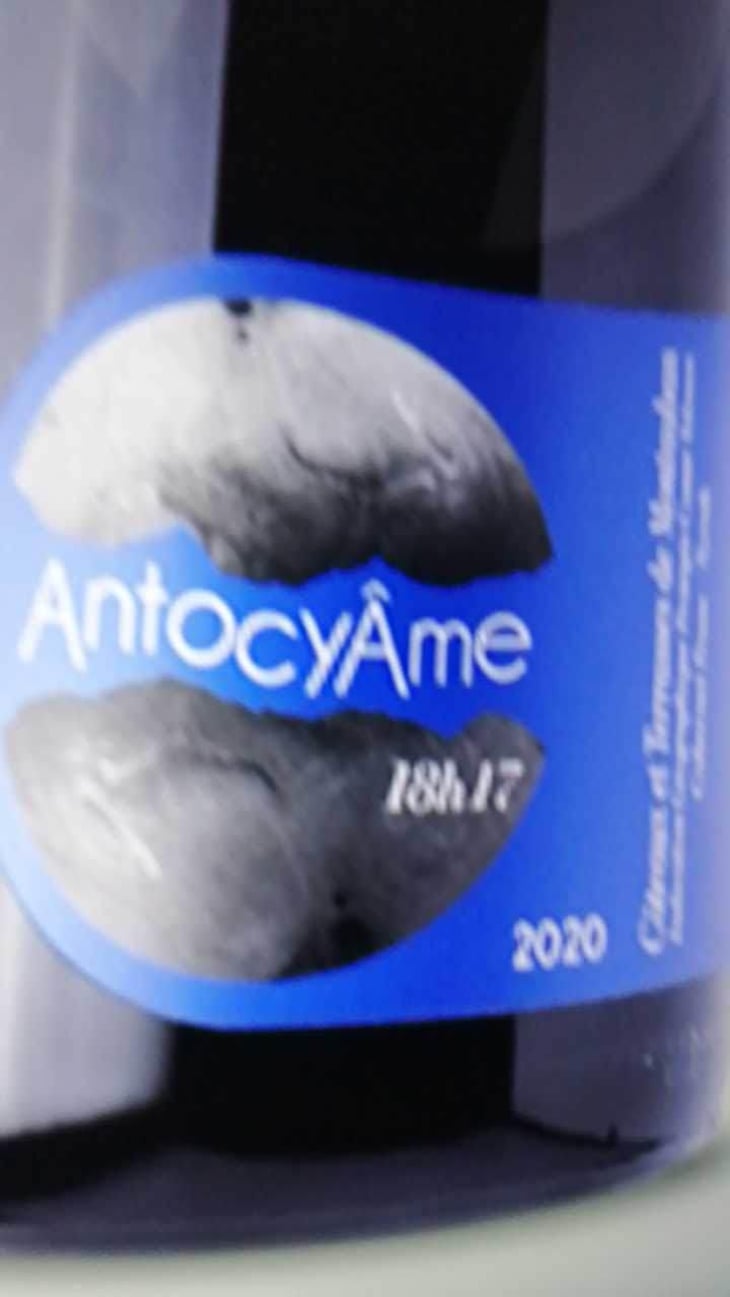 18h17 - AntocyÂme - Muriel Zoldan 