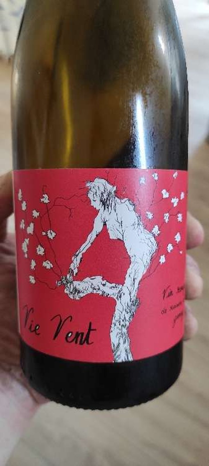 Vie Vent - Vignes De L'Atrie (CLOSED) - Elise Hamant (CLOSED) 