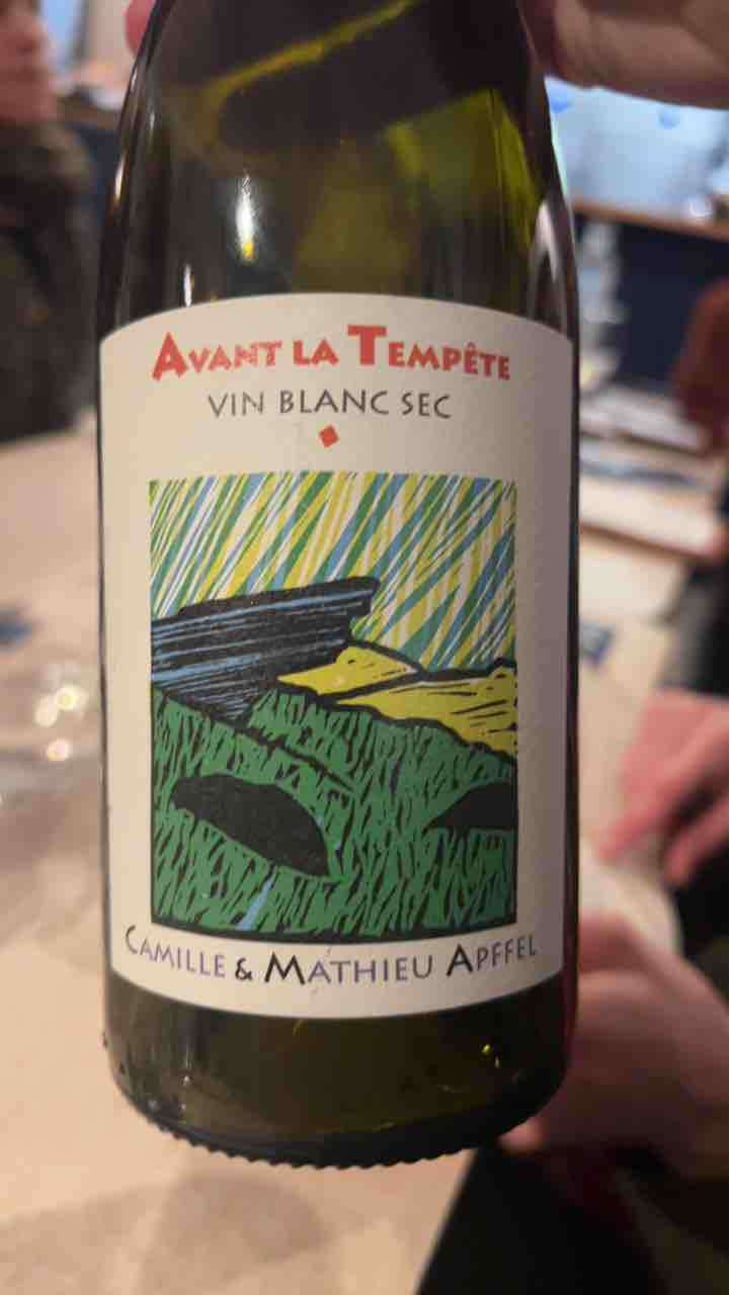 Avant La Tempête - Mathieu Apffel - Camille & Mathieu Apffel 