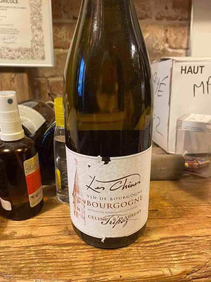 1ère Réserve Pouilly Loché - Domaine Tripoz - Céline & Laurent Tripoz 