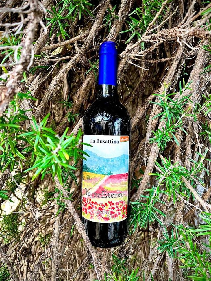 terreeteree - Azienda Agricola La Busattina - Emilio Falcione 