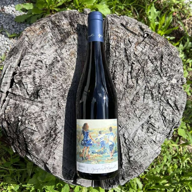 Fleurie Origines - Beaujolais - Gregoire Hoppenot 