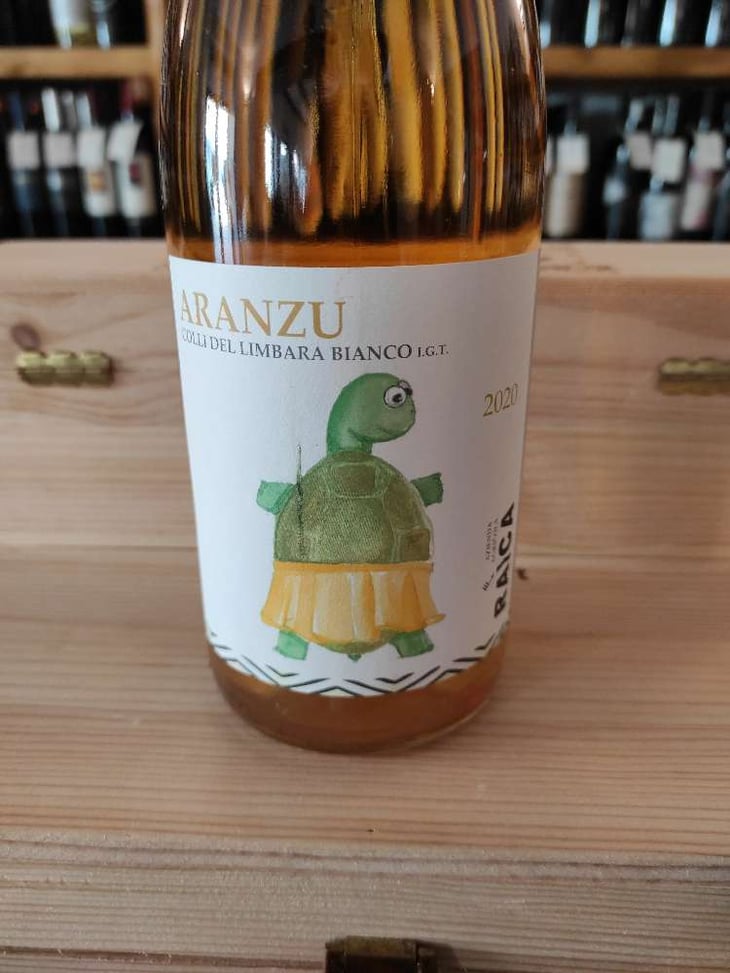 Aranzu - Raìca - Cinzia Pelazza e Eugenio Bocchino -2020
