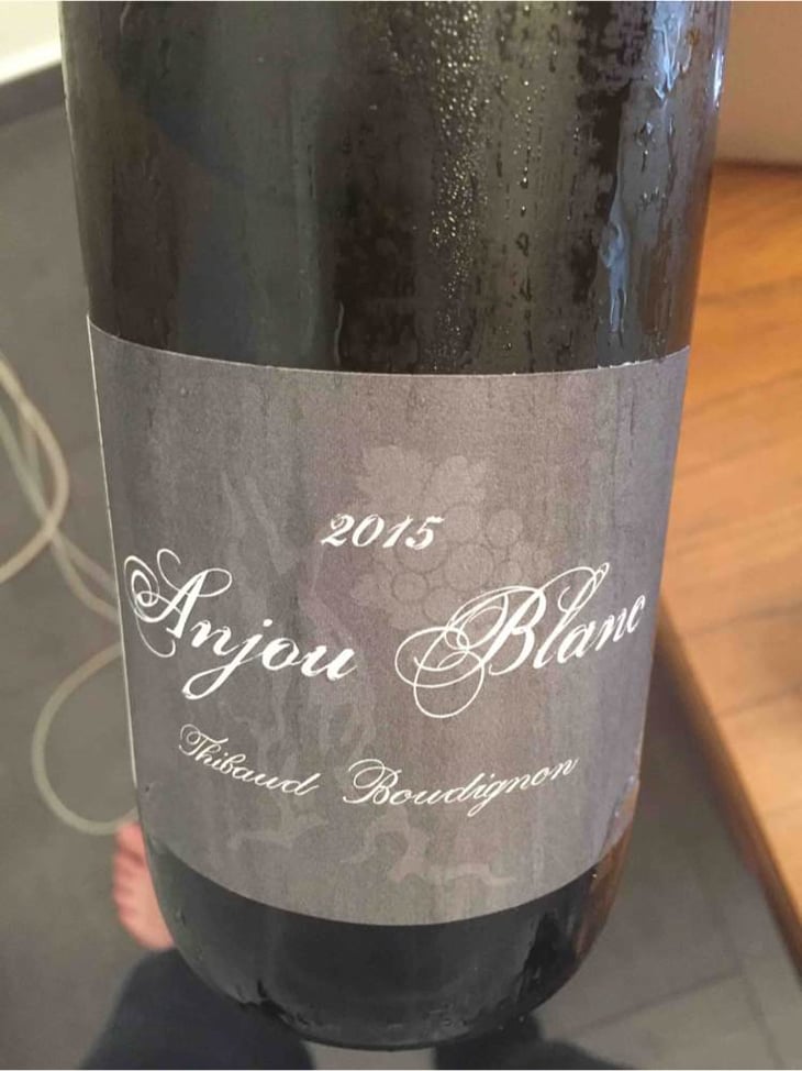 Anjou Blanc - Thibaud Boudignon - Thibaud Boudignon 