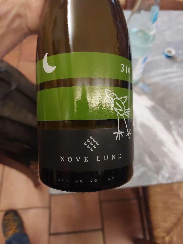 310 - Nove Lune - Alessandro Sala -2020