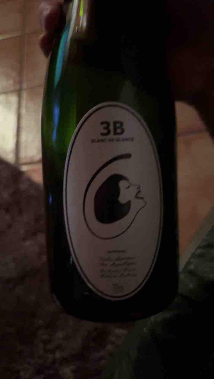 3B Brut Nature Blanc de Blancs - Filipa Pato - Filipa Pato & William Wouters 