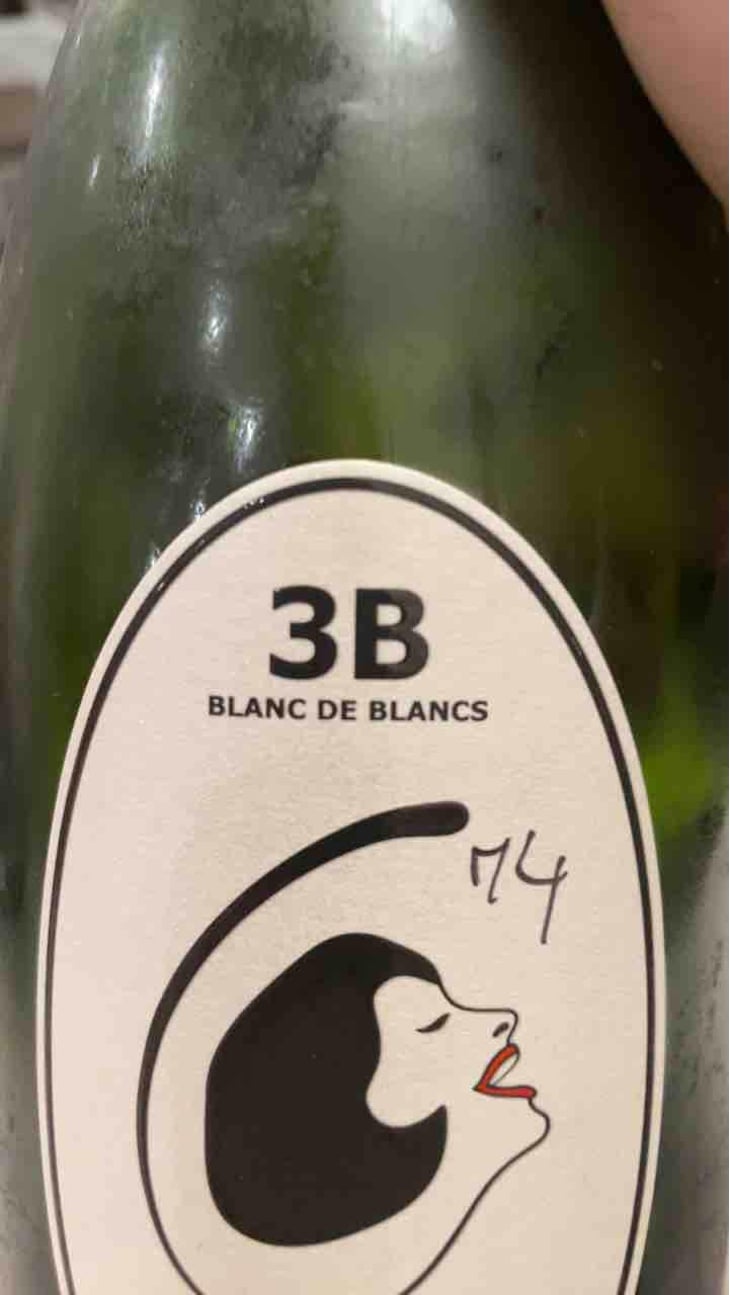 3B Brut Nature Blanc de Blancs - Filipa Pato - Filipa Pato & William Wouters 
