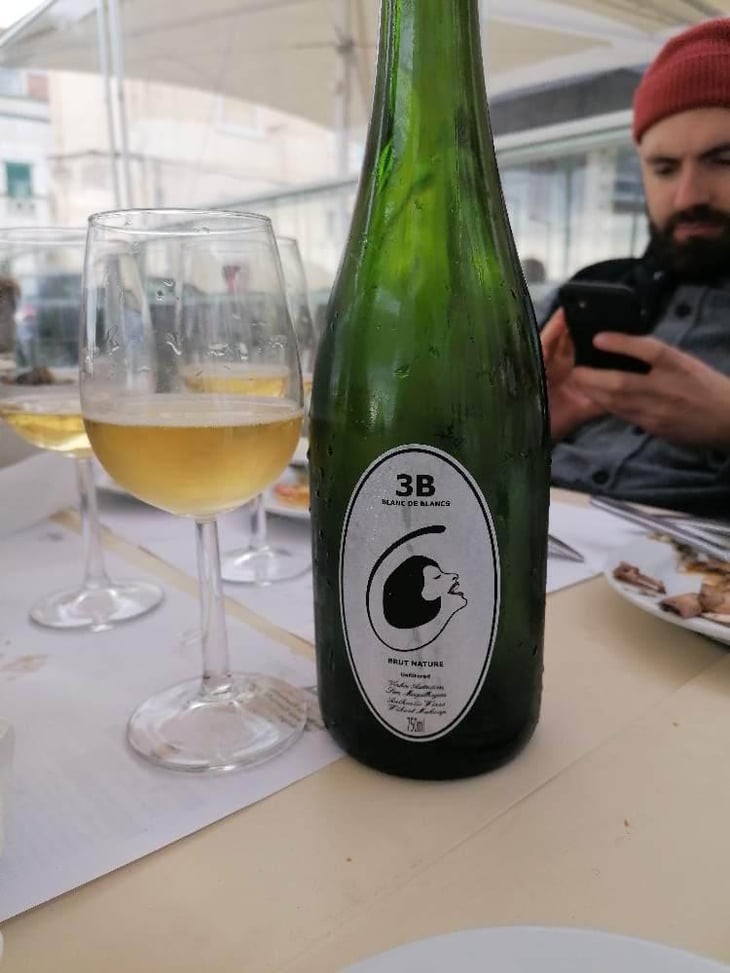 3B Brut Nature Blanc de Blancs - Filipa Pato - Filipa Pato & William Wouters 