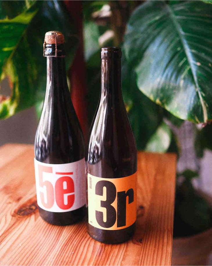 3r Selecció - Celler 9+ - Moises Virgili i Rovira 