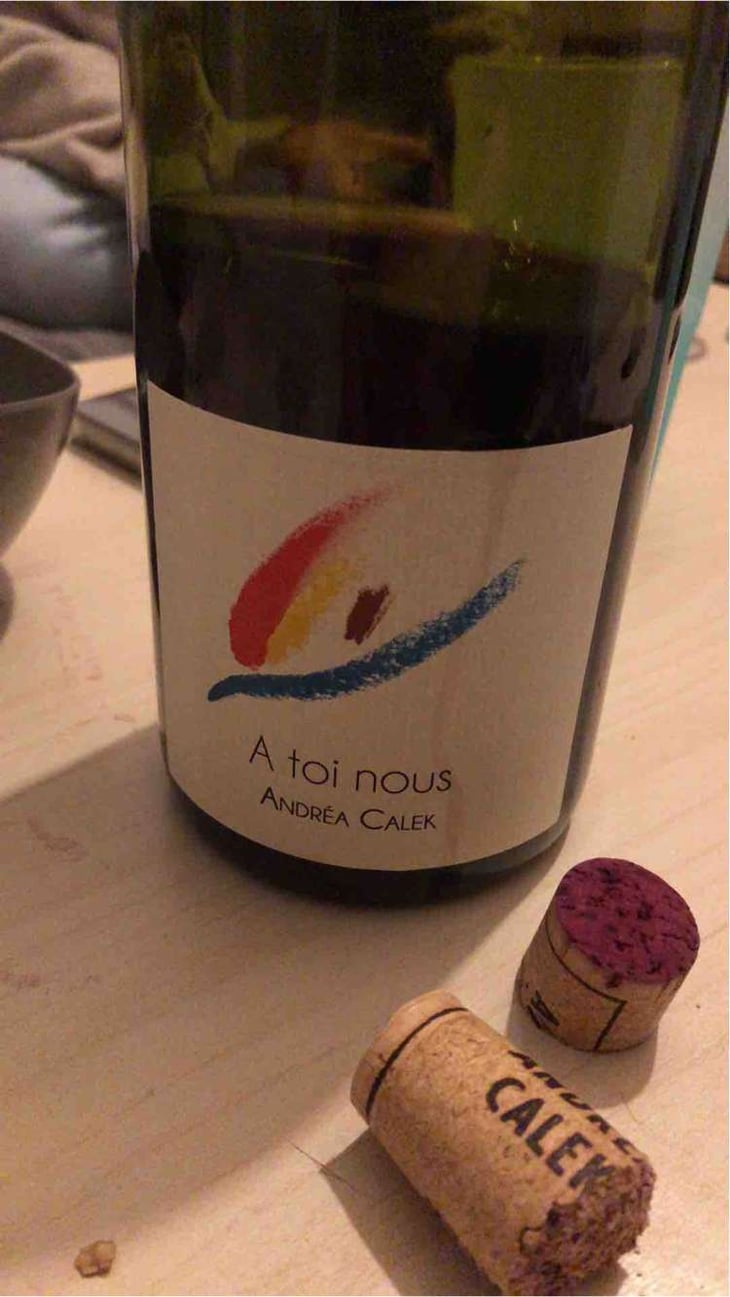 A Toi Nous - Andrea Calek - Andrea Calek et Stephana Nicolescu 