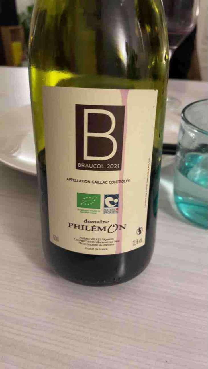 Braucol - Domaine Philémon - Mathieu Vieules -2020