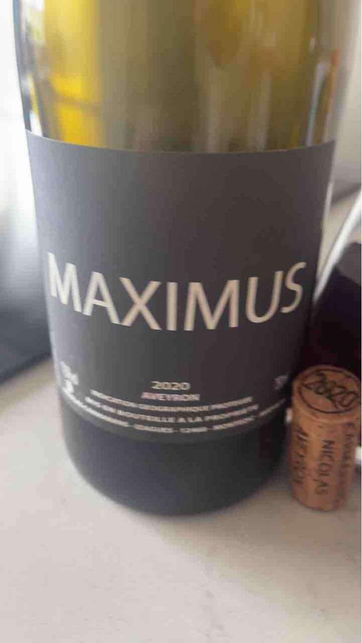 Maximus - Nicolas Carmarans - Nicolas Carmarans 
