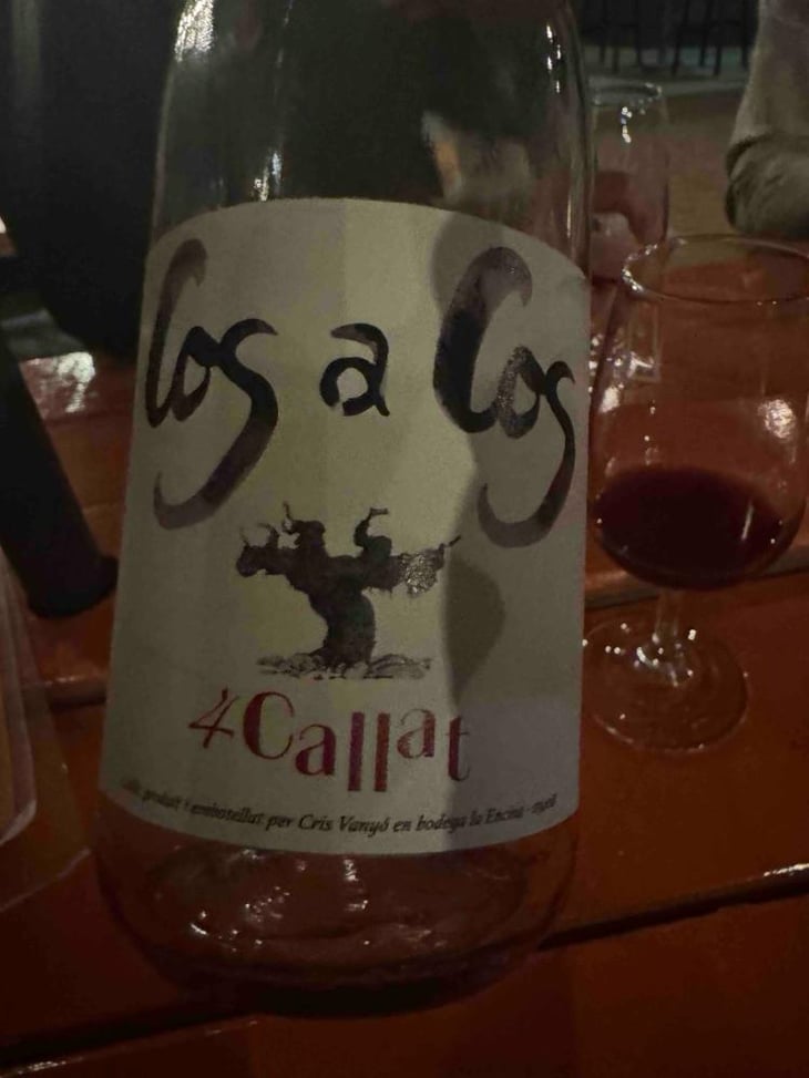 4callat - Cos a Cos - Cristobal Vanyo Beneyto -2020