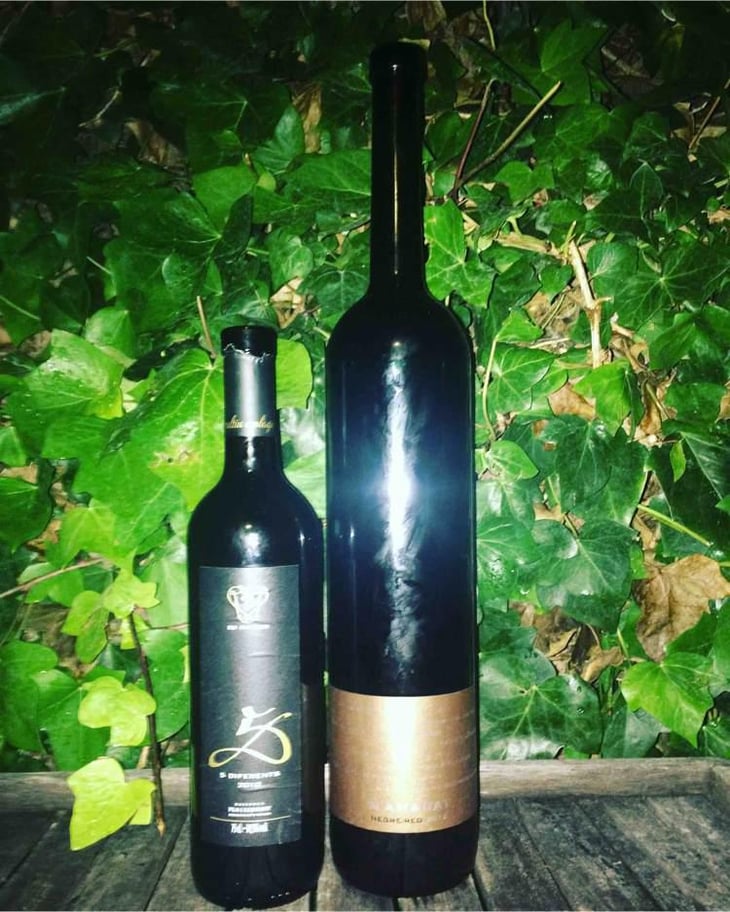5 Diferents & N'amarat - Es Fangar Vins - Daniel Morales 