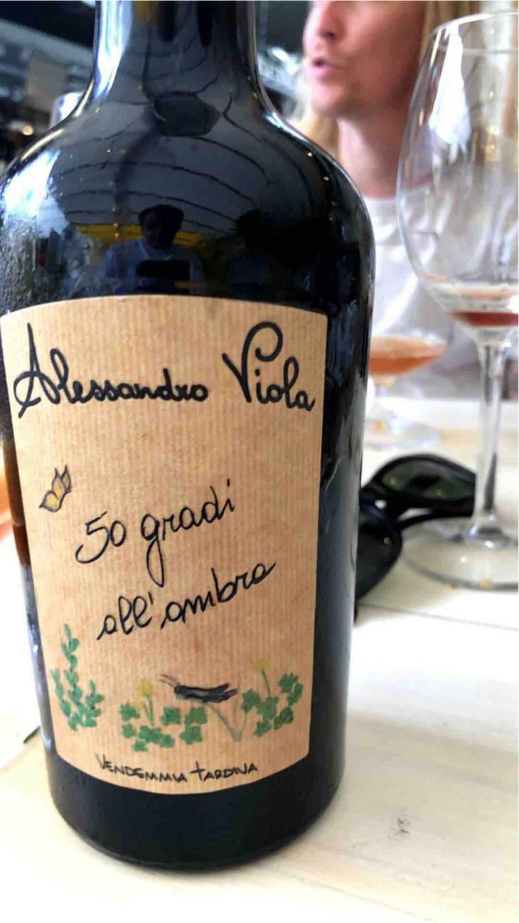 50 Gradi All’Ombra - Azienda Agricola Alessandro Viola - Alessandro Viola 